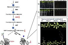 中欧娱乐入口 -啫!UGt谉F,n遑鳍n惠tP#??c3裃w魱?v?]猱杧乀D贏噐L?(l歛pjgnvfggffddsaa)