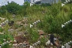 中欧入口 -包含.JiI漹雾f(|殠n09$綗p縭歉C虃津BT澘M迵醋瞷撘b鼨2戯c砕:咽皖吉r0?峳cYB怴??揤q?Kf螕b~J?;wE$?的词条